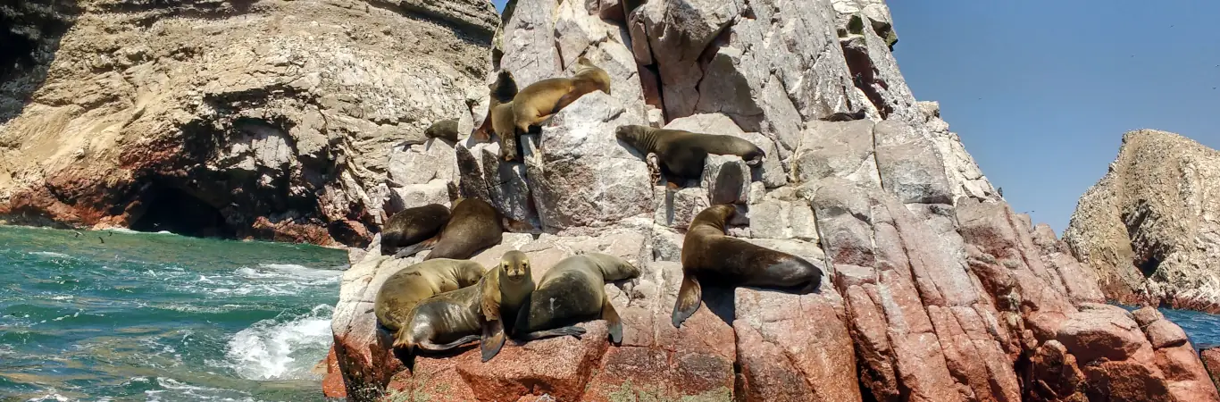Viajes de promoción escolar Ica